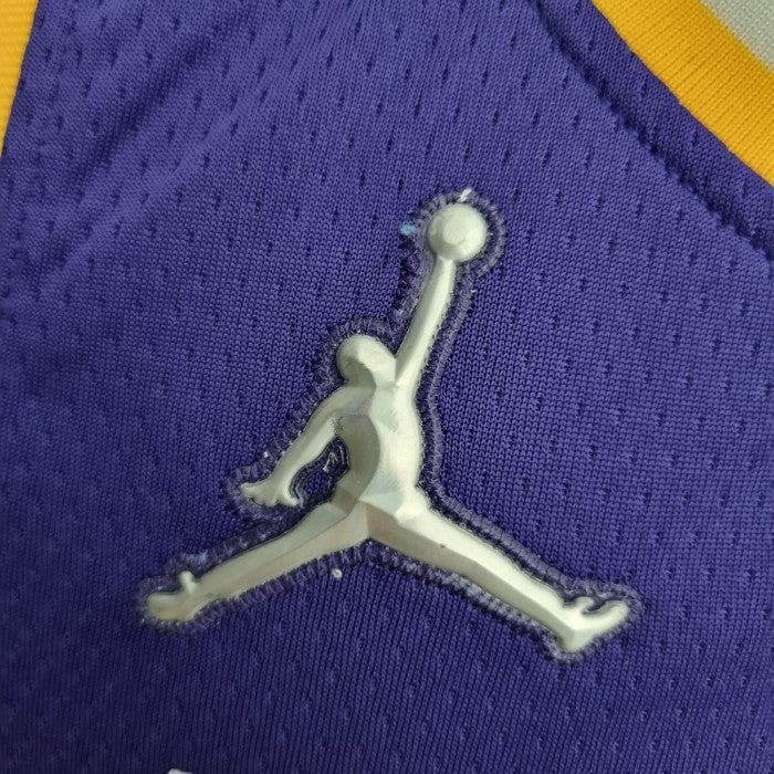 LeBron James Los Angeles Lakers 75th Anniversary Swingman Jersey Purple